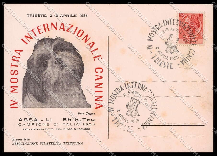 Trieste Mostra Internazionale Canina 1955 Shih Tzu FG cartolina ZG9201 – fronte