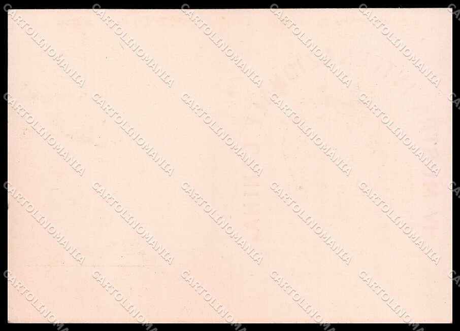 Trieste Mostra Internazionale Canina 1955 Shih Tzu FG cartolina ZG9201 – retro