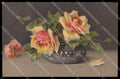 Artist Signed Catharina Klein Flowers Meissner & Buch 2459 cartolina ZG9206 – fronte