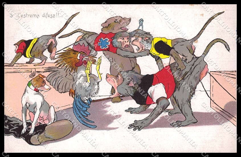 WWI WW1 Italian Propaganda Monkey Russia Bear Rooster Norfini cartolina ZG9323 – fronte