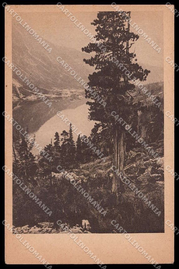 Polska SlovenskÃ¡ Republika Tatry B. P. cartolina ZG9683 – fronte