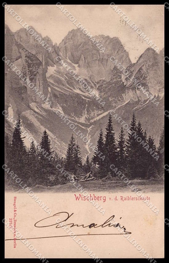 Udine Jof Fuart Vis Wischberg Alpi Giulie PIEGHINA cartolina ZG9700 – fronte