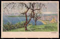 Messina Taormina ENIT Turismo cartolina ZG9914 – fronte