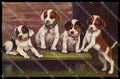 Illustratori Artist Signed A W Dog Oilette serie 917P pc ZG9964 – fronte