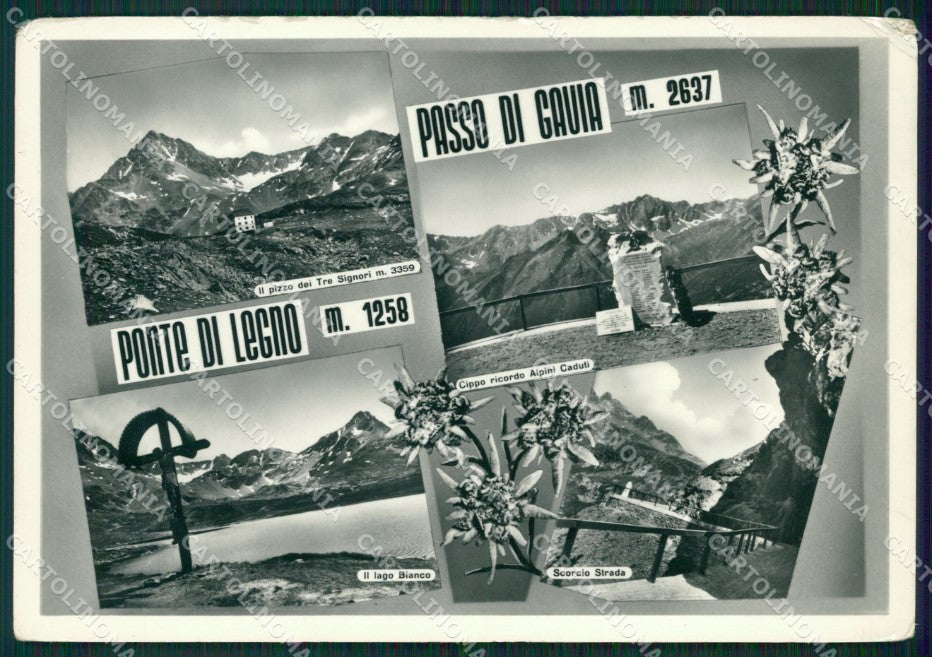 Brescia Ponte di Legno Passo Gavia Foto FG cartolina ZK0077 – fronte