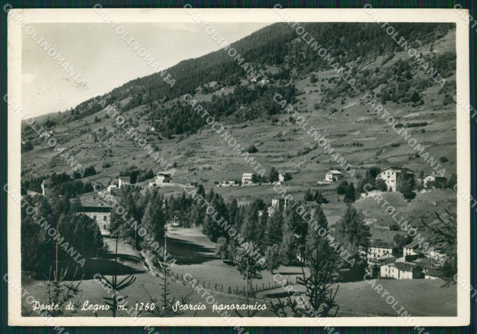 Brescia Ponte di Legno Foto FG cartolina ZK0078 – fronte