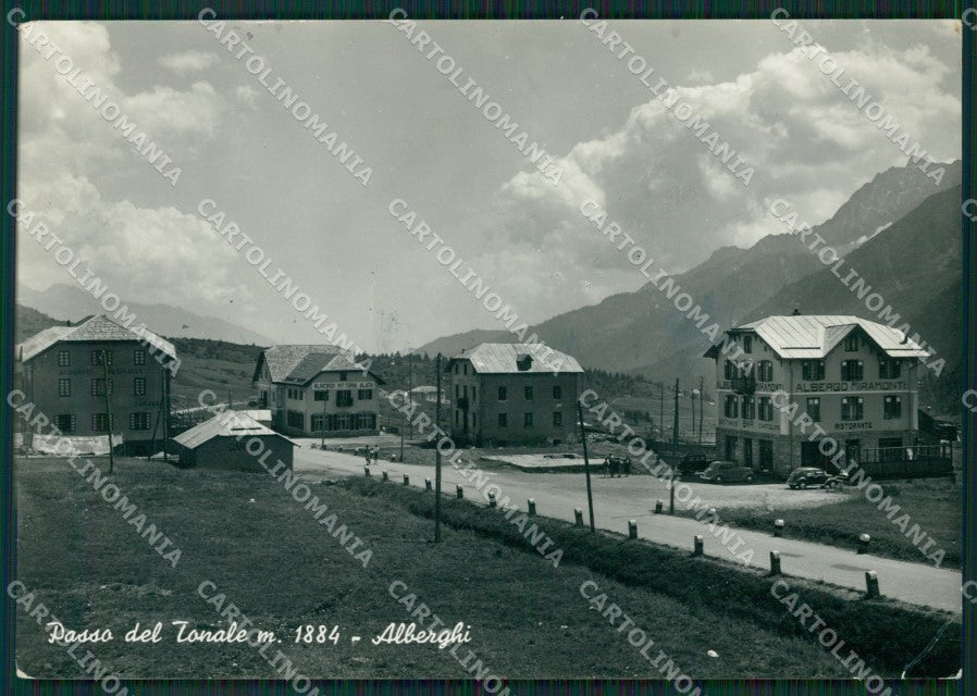 Trento Passo Tonale PIEGHINA Foto FG cartolina ZK0094 – fronte