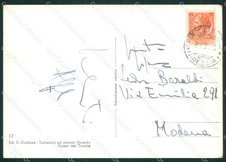 Trento Passo Tonale PIEGHINA Foto FG cartolina ZK0094 – retro