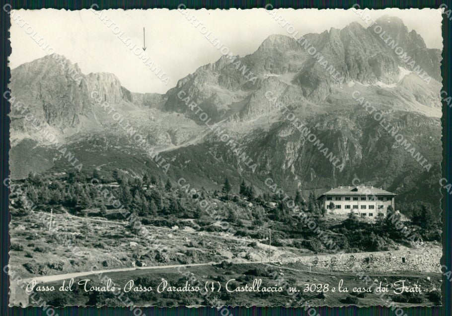 Trento Passo Tonale Foto FG cartolina ZK0095 – fronte