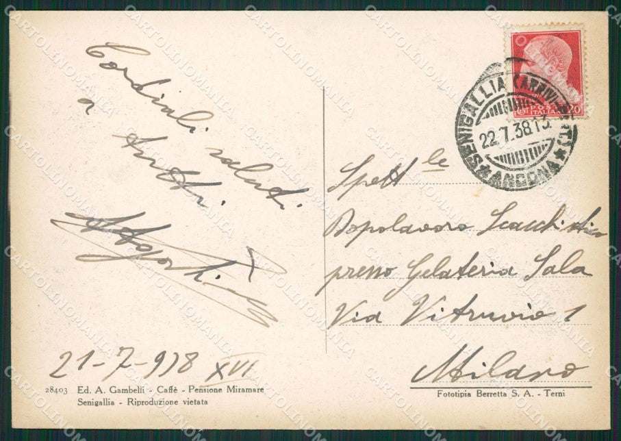 Ancona Senigallia FG cartolina ZK0145 – retro