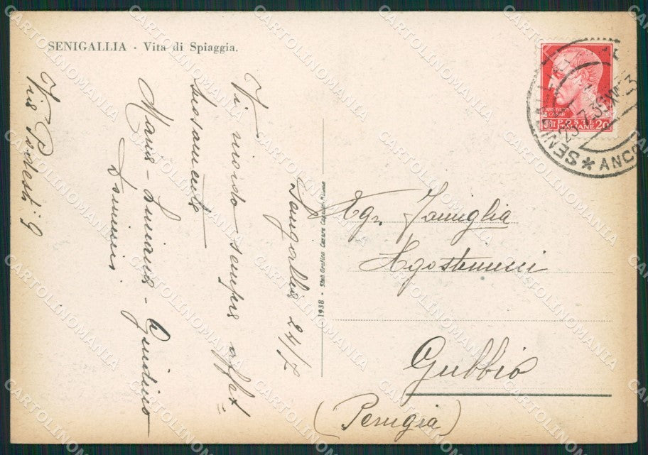 Ancona Senigallia FG cartolina ZK0147 – retro