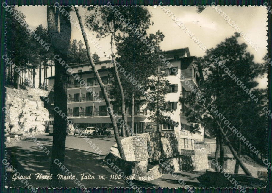 Napoli Monte Faito Foto FG cartolina ZK0275 – fronte
