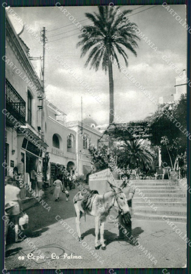 Napoli Capri Foto FG cartolina ZK0276 – fronte