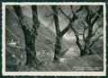 Como Argegno Foto FG cartolina ZK0521 – fronte