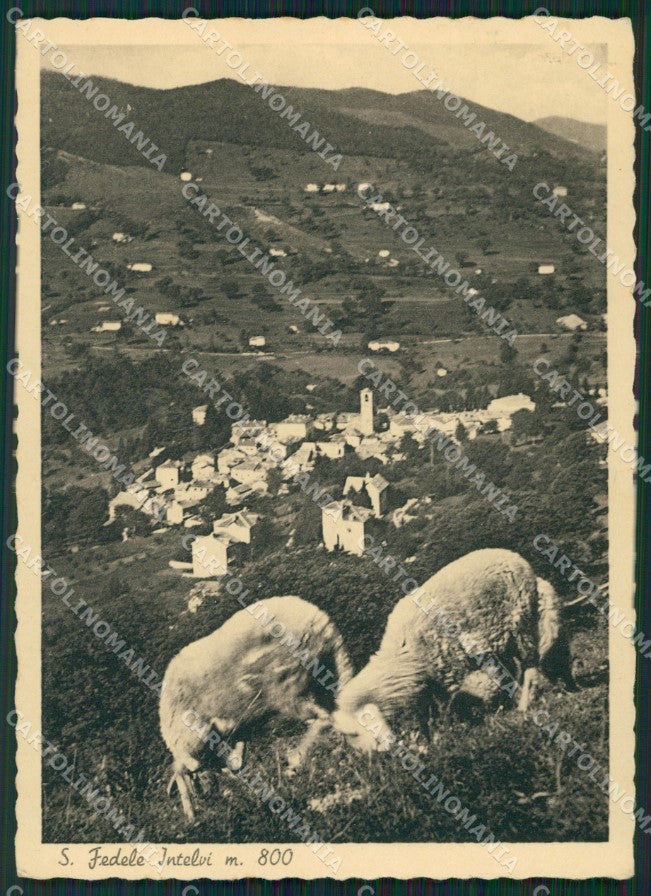 Como San Fedele D'Intelvi FG cartolina ZK0557 – fronte
