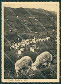 Como San Fedele D'Intelvi FG cartolina ZK0557 – fronte