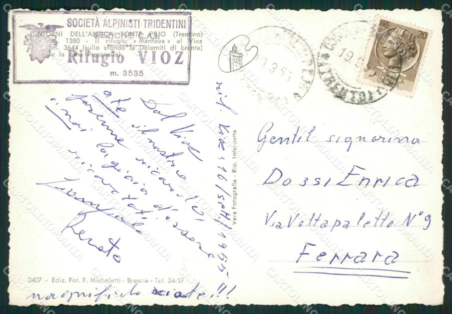 Trento Peio Rifugio Vioz Alpinisti Tridentini Foto FG cartolina ZK0704 – retro