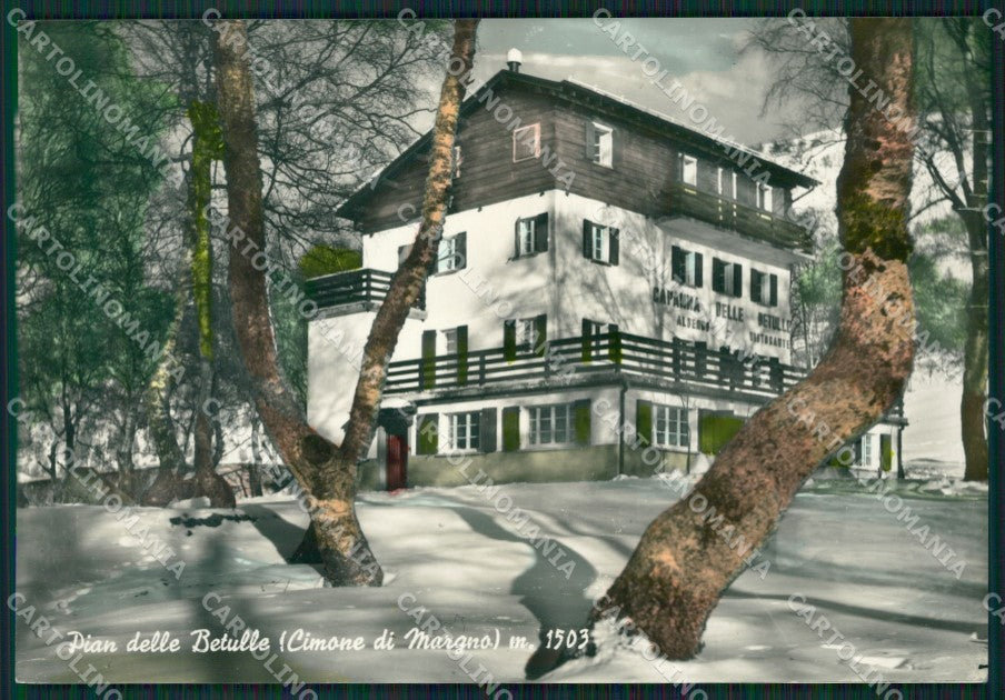 Lecco Margno Pian delle Betulle Foto FG cartolina ZK0706 – fronte