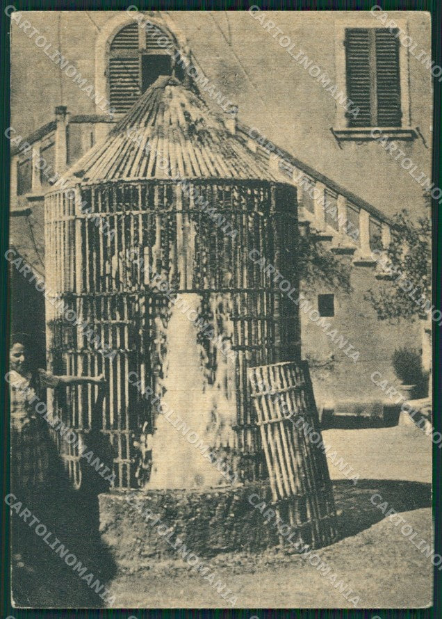 Siena Rapolano Terme FG cartolina ZK0781 – fronte