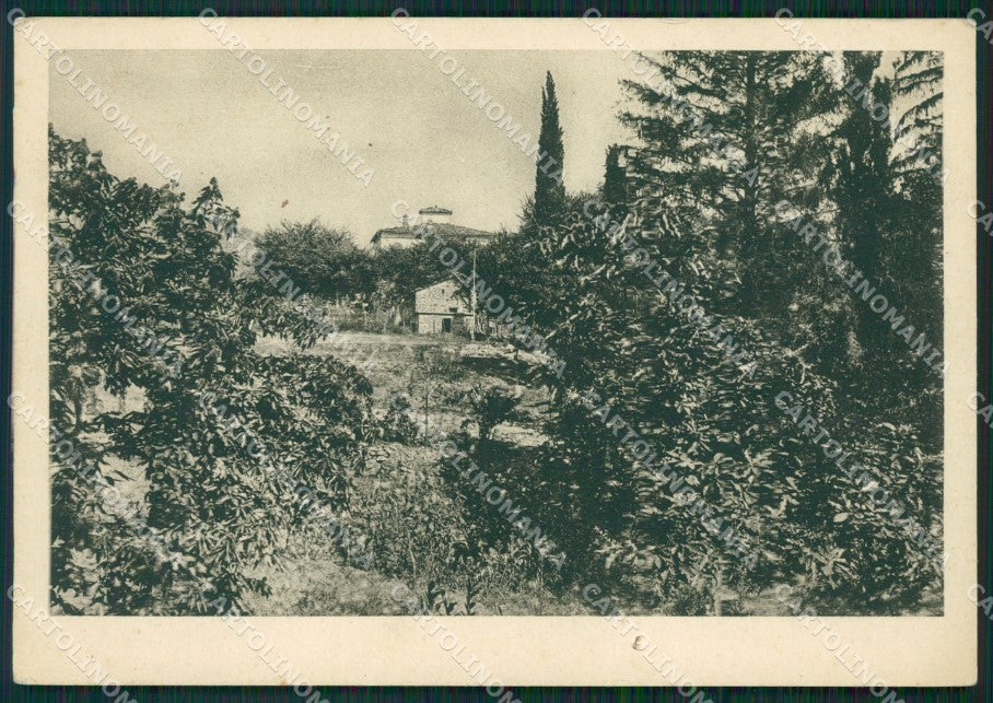 Arezzo Chitignano FG cartolina ZK0783 – fronte