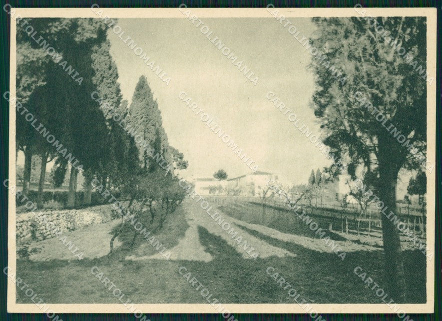 Foggia Gargano Convento FG cartolina ZK0898 – fronte