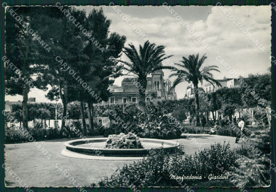 Foggia Manfredonia Foto FG cartolina ZK1043 – fronte