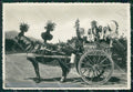 Palermo Città Carretto Siciliano Costumi Foto FG cartolina ZK1114 – fronte