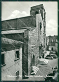 Potenza Acerenza Cattedrale Foto FG cartolina ZK1122 – fronte