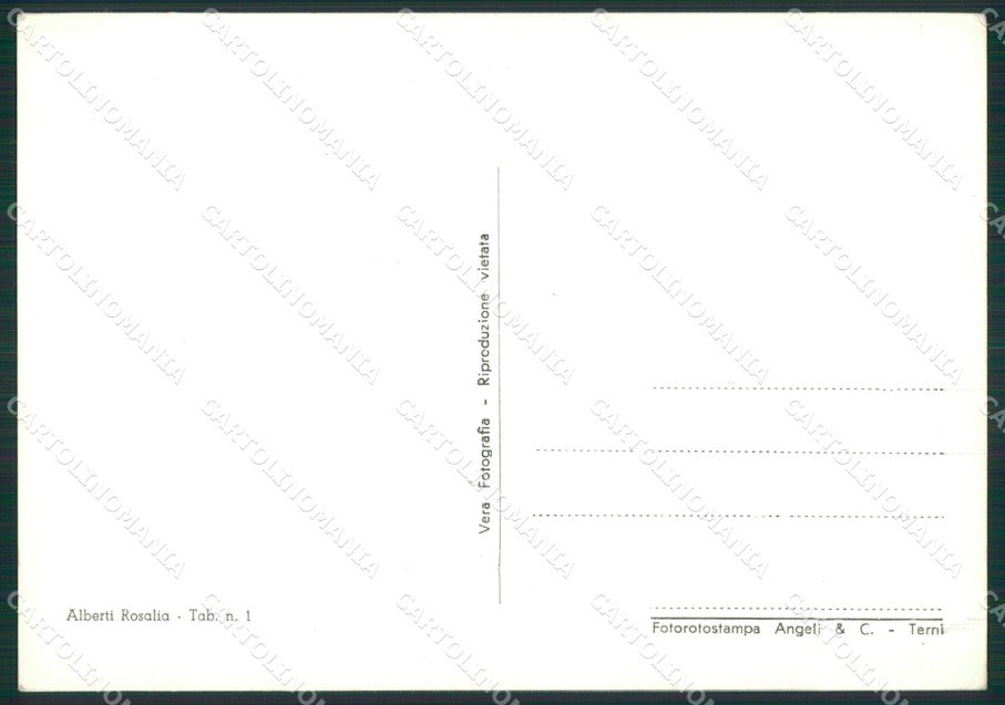 Potenza Acerenza Cattedrale Foto FG cartolina ZK1122 – retro