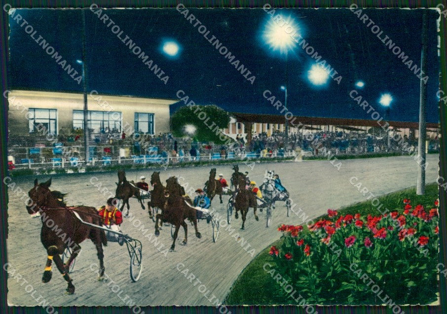 Pistoia Montecatini Terme Ippodromo Foto FG cartolina ZK1231 – fronte