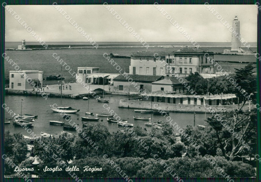 Livorno Città Foto FG cartolina ZK1257 – fronte