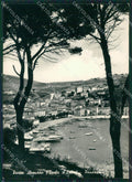 Livorno Porto Azzurro Elba Foto FG cartolina ZK1286 – fronte