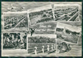 Lucca Forte dei Marmi Saluti da Foto FG cartolina ZK1289 – fronte