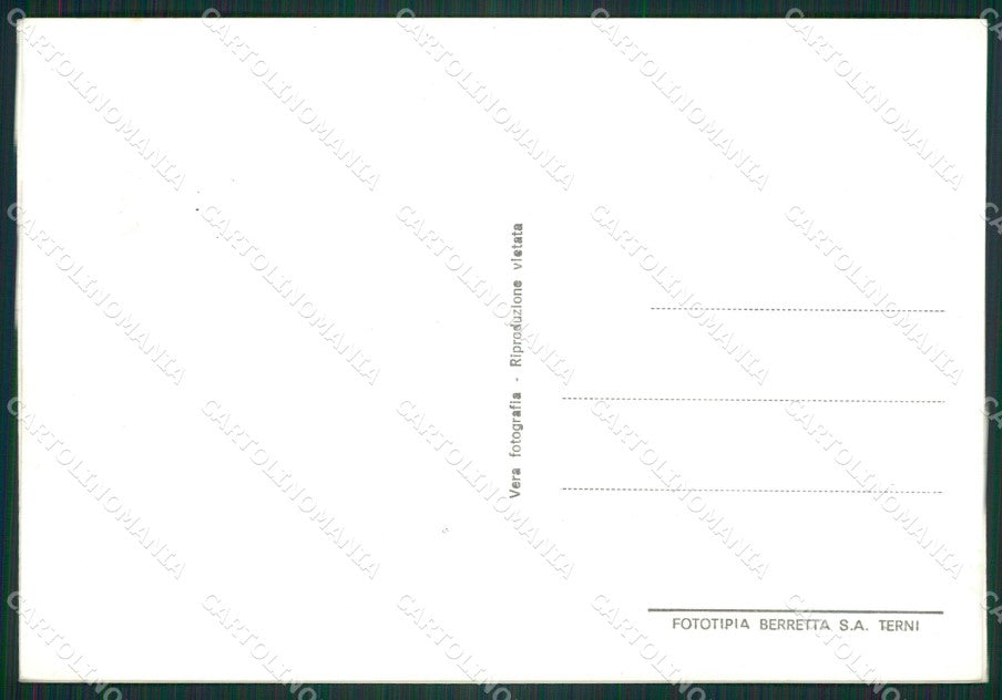 Lucca Lido di Camaiore Foto FG cartolina ZK1305 – retro