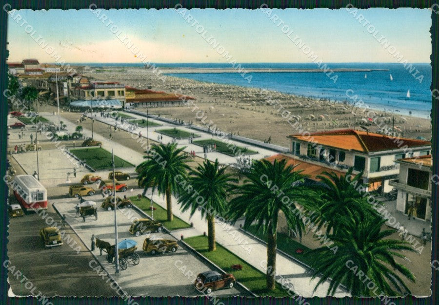 Lucca Viareggio Corriera Foto FG cartolina ZK1334 – fronte