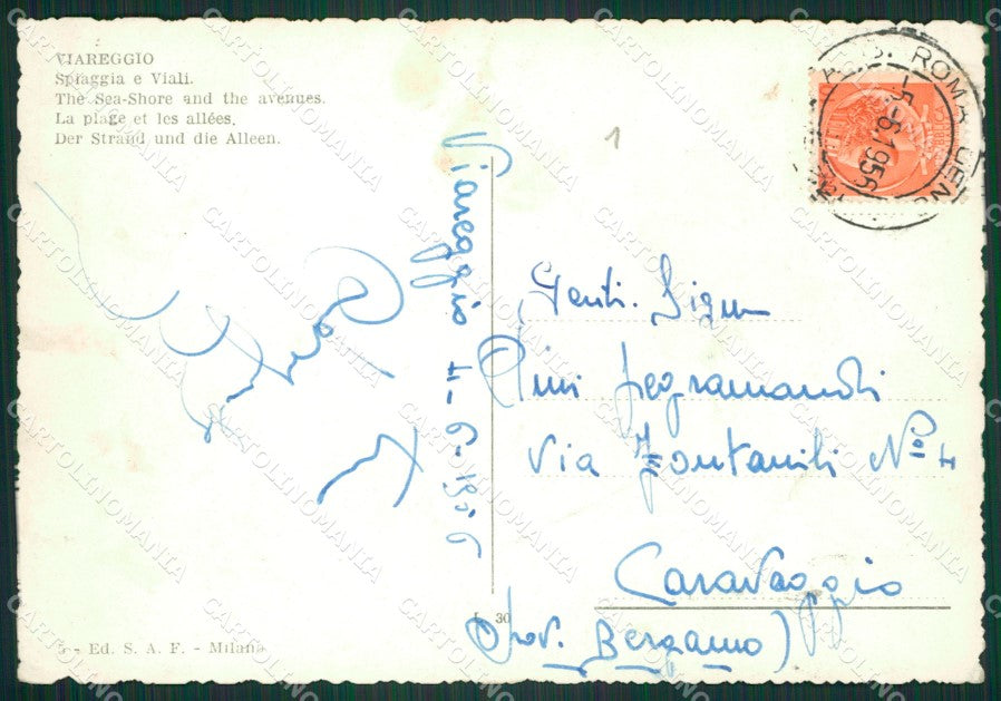 Lucca Viareggio Corriera Foto FG cartolina ZK1334 – retro