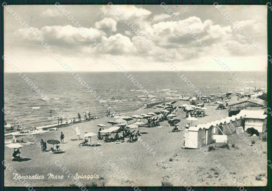 Livorno Castagneto Carducci Donoratico Foto FG cartolina ZK1338 – fronte
