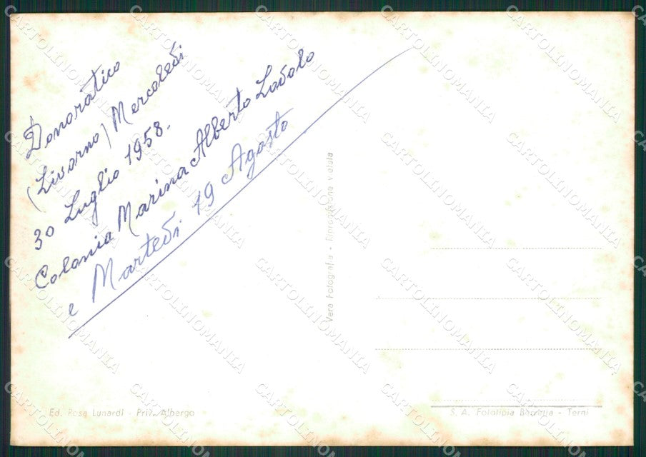 Livorno Castagneto Carducci Donoratico Foto FG cartolina ZK1338 – retro