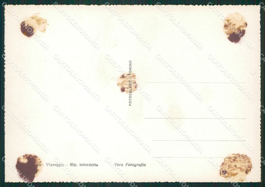 Lucca Viareggio COLLA Foto FG cartolina ZK1342 – retro