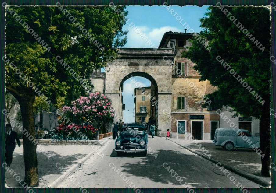 Siena Chianciano Terme Auto Foto FG cartolina ZK1380 – fronte