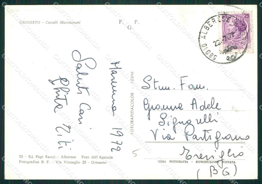 Grosseto Città Cavalli Maremmani Foto FG cartolina ZK1381 – retro
