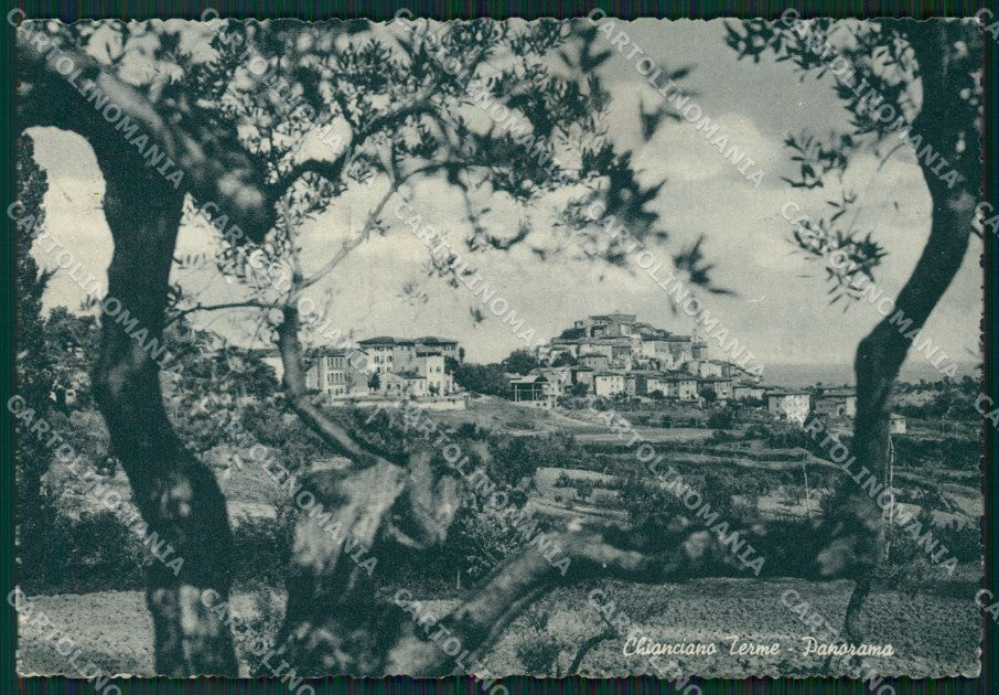 Siena Chianciano Terme FG cartolina ZK1449 – fronte
