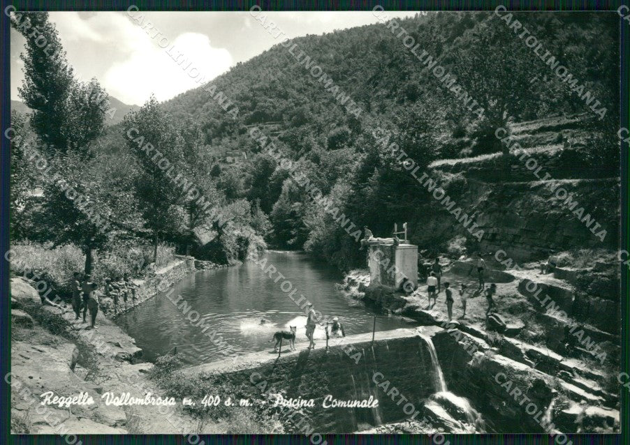 Firenze Reggello Vallombrosa Foto FG cartolina ZK1551 – fronte