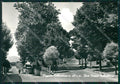 Firenze Reggello Vallombrosa Auto Foto FG cartolina ZK1557 – fronte