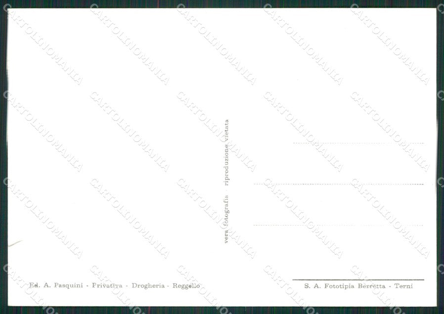 Firenze Reggello Vallombrosa Foto FG cartolina ZK1558 – retro
