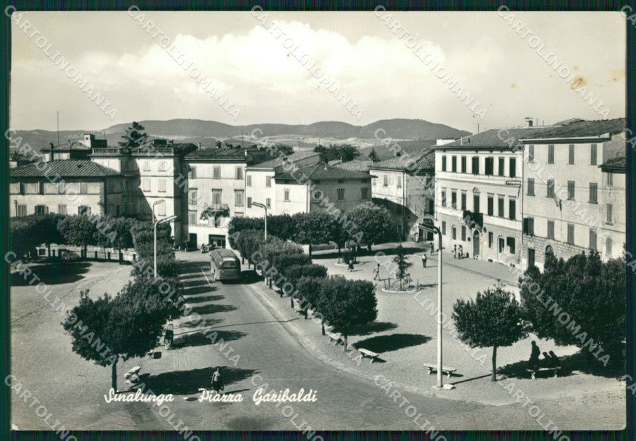 Siena Sinalunga Foto FG cartolina ZK1571 – fronte