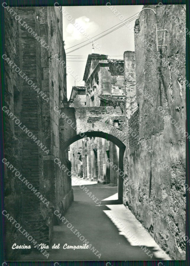 Pisa Cascina Foto FG cartolina ZK1577 – fronte