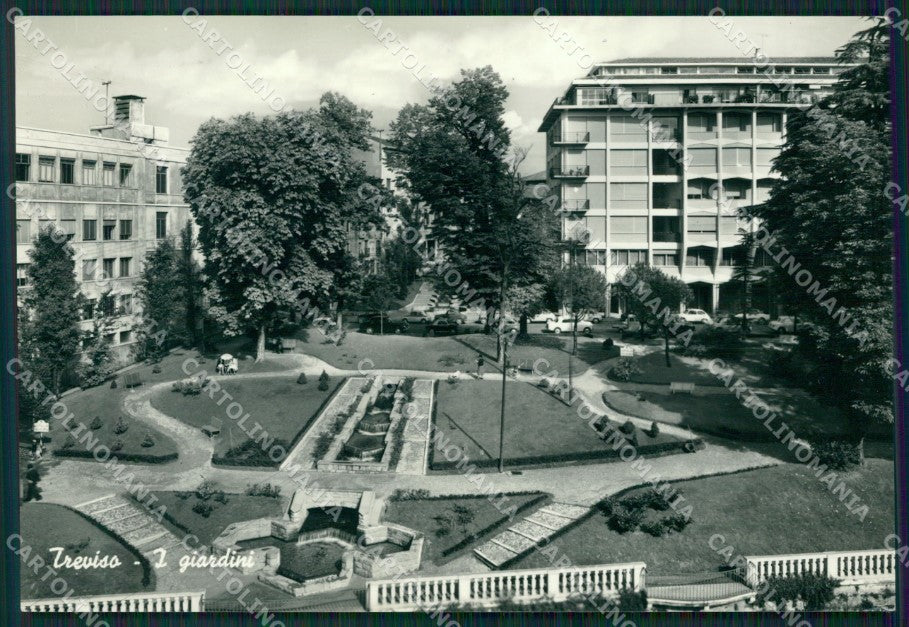 Treviso Città Foto FG cartolina ZK1602 – fronte