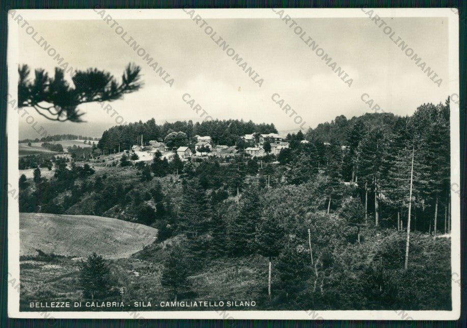 Cosenza Spezzano Camigliatello Silano Foto FG cartolina ZK1642 – fronte