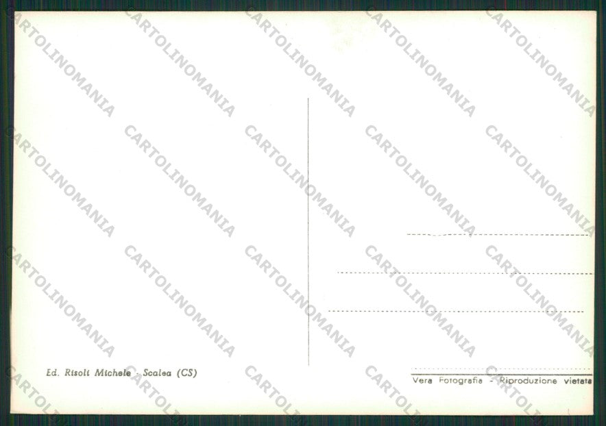 Cosenza Scalea Foto FG cartolina ZK1664 – retro
